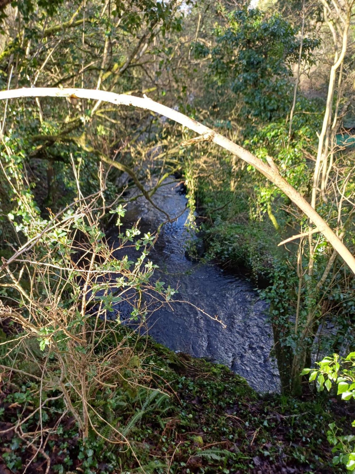 Little River Glamping Ballymoney Luaran gambar